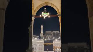 صلاة الفجر للشيخ #بدر_التركي | من سورة القصص | الثلاثاء ١٢ / ١٠ / ١٤٤٧ هـ