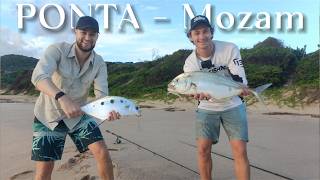 Spinning in Ponta (Mozambique) || Insane Multispecies Fishing Trip - Kingfish, Pompano and more!