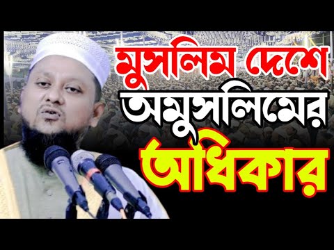 মুসলিম দেশে অমুসলিমদের অধিকার | হাফেজ ক্বারী মাওলানা হারুনুর রশীদ সারোয়ারী | mawlana harunur Rashid