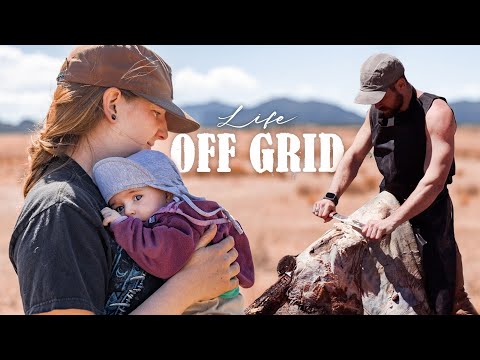 Back to our Roots | Life Off Grid