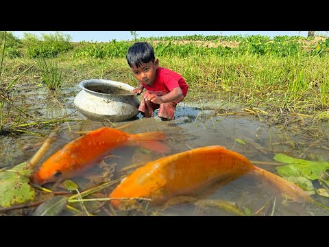 Amazing Boy Catching Fish By Hand In Mud Water | Fishing Video