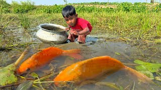 Amazing Boy Catching Fish By Hand In Mud Water | Fishing Video