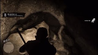Poisonous Trail Treasure Map Location-Red Dead Redemption 2 (An Easy $2000)