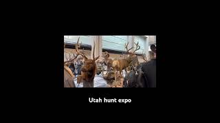 Utah hunt expo #utah #fypシ #viralvideo #huntexpo