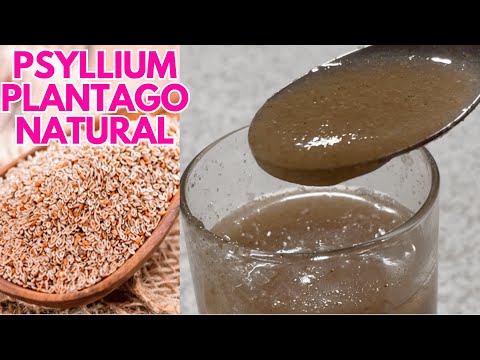 ¡ADIÓS a los Problemas de ESTREÑIMIENTO! Usar PSYLLIUM te cambiará la vida