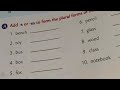 Forming Plural Nouns Exercise