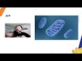 Metabolismo e Necessidades Energéticas