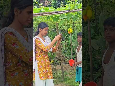 farming 🫒 #song #farming #khetibadi #dailyshorts #virulshorts