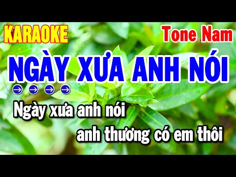 Karaoke Ngày Xưa Anh Nói Tone Nam Nhạc Sống Trữ Tình Dễ Hát 2025 | Thanh Hải