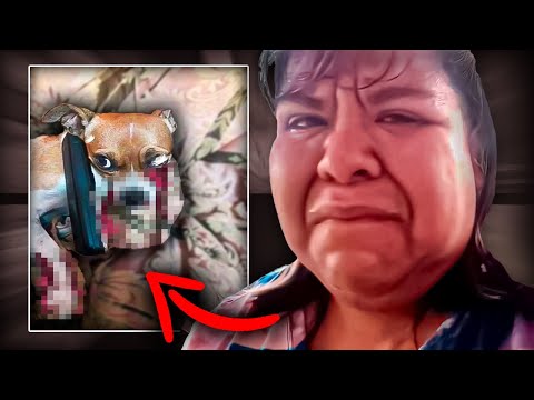 Aimep3: La TikToker Más ODIADA que M█TÓ a su Propia PERRITA
