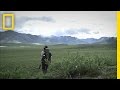 Survival and Food Exploration