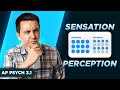 Exploring Sensation and Perception in Psychology