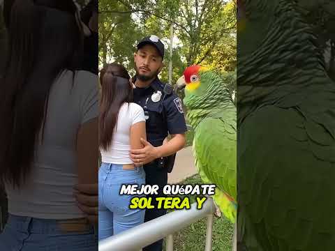 🦜💔 Loro EXPONE al Policía Infiel en Pleno Parque… ¡La Cara de Ella lo Dice TODO! 😳
