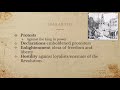 American and French Revolutions Overview