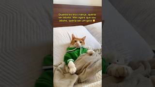 QUERIA SER UM GATO