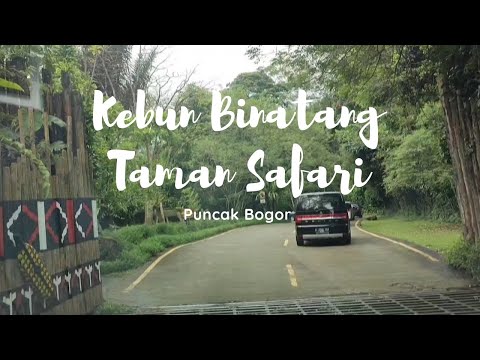 Rekreasi Bersama keluarga Di Kebun Binatang Taman Safari Bogor