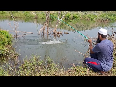 "ROHUFISH AND BAAMFISH FISHING TECHNIQUES IN VILLAGES"SIMPLE AND Effective SINGLE HOOK FLOAT FISHING