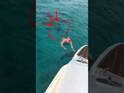 He Had No Idea What Was Beneath Him 😳🦈 #fishing #shark