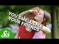 Understanding Body Odor and Friendships
