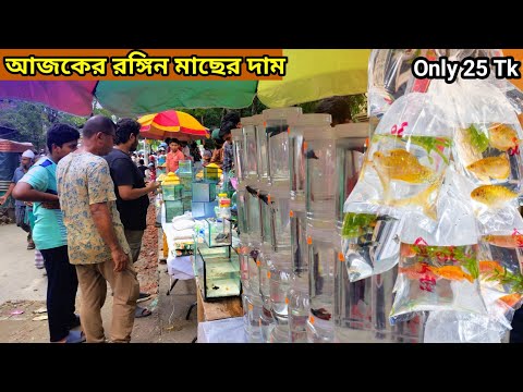 ৩০/- টাকায়🔥মাছ ও অ্যাকুরিয়াম কিনুন | Aquarium price in Bangladesh 2025 | katabon fish price 2025