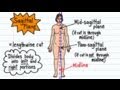 Anatomical Terminology and Planes