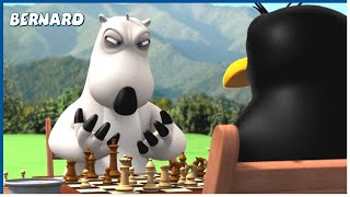 Bernard is playing chess | 70' Compilation