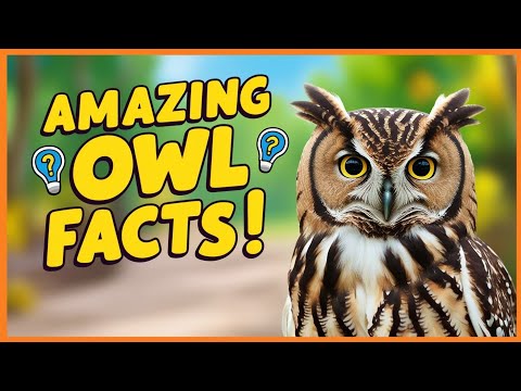 उल्लू की यह बातें कर देंगी हैरान 😯 | Amazing Facts About Owl | #shorts  #ytshorts