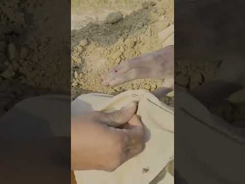 Nagmani Miracle,Black Cobra bite the Jogi,Nagmani used to suck the Venom