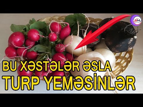 Şiş hüceyrələrini əridən qırmızı turp xərçəngə qarşı ən yaxşı qidalardandır