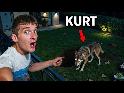GECE 3'te EVİME KURT GİRDİ *ölüyodum*