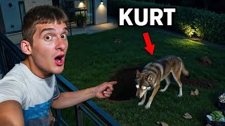 GECE 3'te EVİME KURT GİRDİ *ölüyodum*