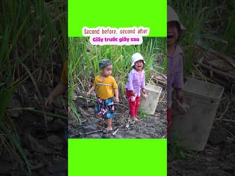 #nhàcóbathằngnhóc, #shorts, #short