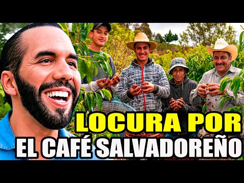 ÚLTIMA HORA🚨 BUKELE LOGRA PONER AL CAFÉ SALVADOREÑOS #1 EN EL MUNDO, COLOMBIA NO SE LO ESPERABA😱
