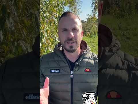 ANTIFA-TERROR: Schon wieder Brandanschlag auf AfD-Wahlkreisbüro in München! | Tobias Teich (AfD)
