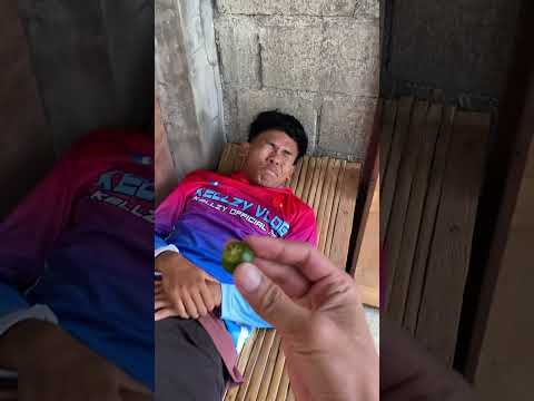 Wala pa gani #forentertainmentpurposesonly #funny