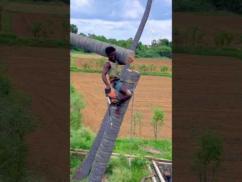 8610339350 tree cutter Suyambu | top tree cutter in Tamilnadu | tree cutter arul