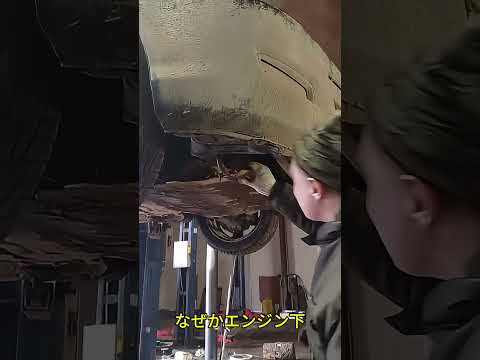 自然のエンジン保護カバー