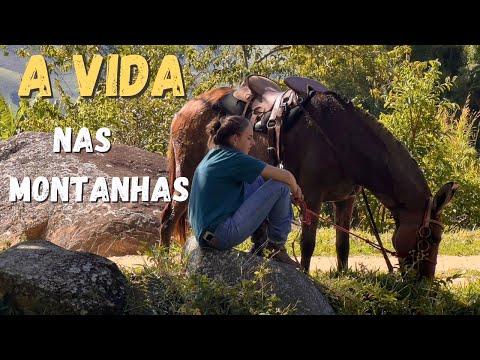 A LIDA NA ROÇA - TEMPERATURA DESPENCOU - COLHEITA DE ABÓBORA