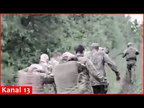 Russian soldiers choose to surrender to Ukrainians, desert to avoid involvement in Kursk battle