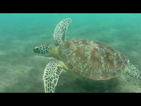 MOHÉLI LAKA LODGE [Comoros]