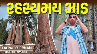 રહસ્યમય ઝાડ | Khajur Bhai VLOGS | Jigli and Khajur | Sequoia National Park | USA 🇺🇸 | New Vlog | New