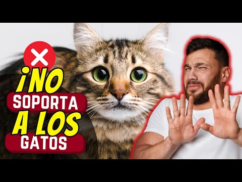 POR ESO los narcisistas no soportan a los gatos 😲