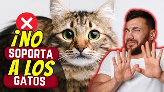 POR ESO los narcisistas no soportan a los gatos 😲
