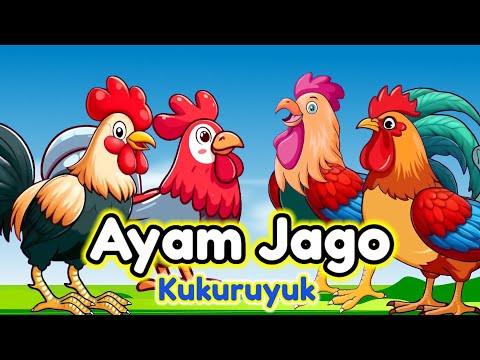 Lagu Anak 🇮🇩 Kuku Kukuruyuk - Lagu Ayam Jago - Ayam Berkokok  - Lagu Anak Indonesia Terpopuler