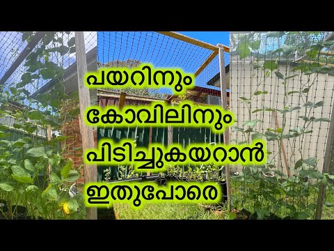 ഇങ്ങനെ എളുപ്പത്തിലും ചിലവുകുറഞ്ഞും ഉണ്ടാക്കിയെടുക്കാം