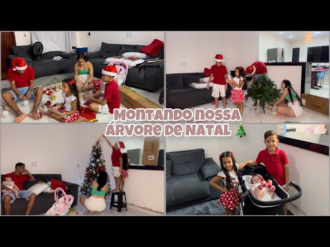 COMPREI UMA ÁRVORE MAIOR DESSA VEZ/ FICOU LINDO🥹🎄