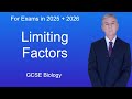 Photosynthesis and Its Limiting Factors