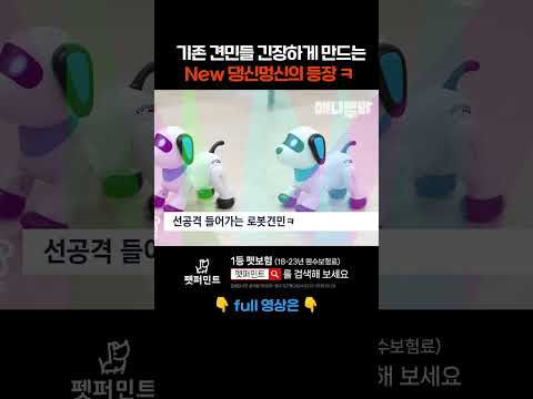 댕신머신들 긴장시킬 트월킹 장견(?) 등장 #애니멀봐 #shorts