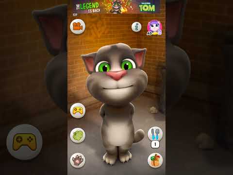 Talking Tom Cat #shorts