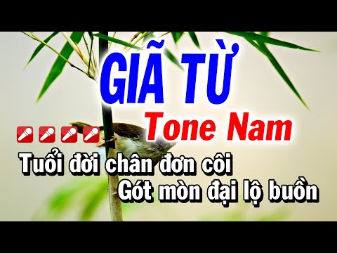 Karaoke Giã Từ – Tone Nam ( Beat Nhạc Sống Mới ) Tuyết Nhi